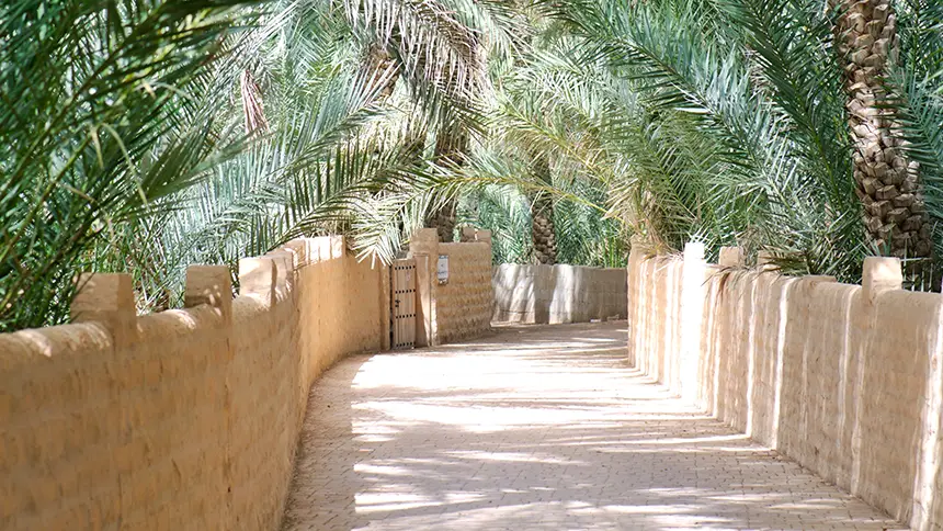 Al Ain Oasis