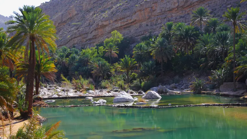 Oases Across the Emirates