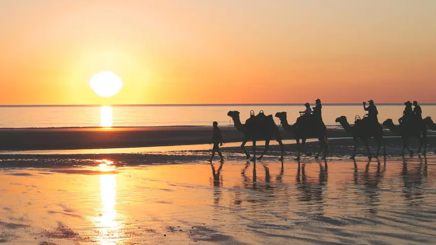 Entertainment in Ajman