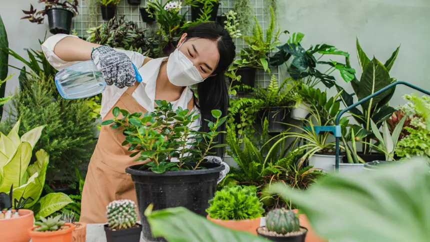 Eco-Friendly Initiatives in Fujairah