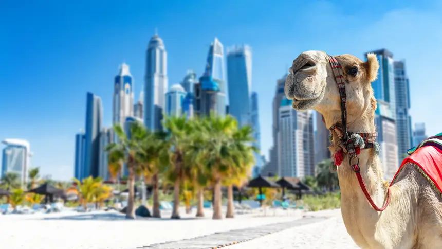 Tourism Development in Dubai